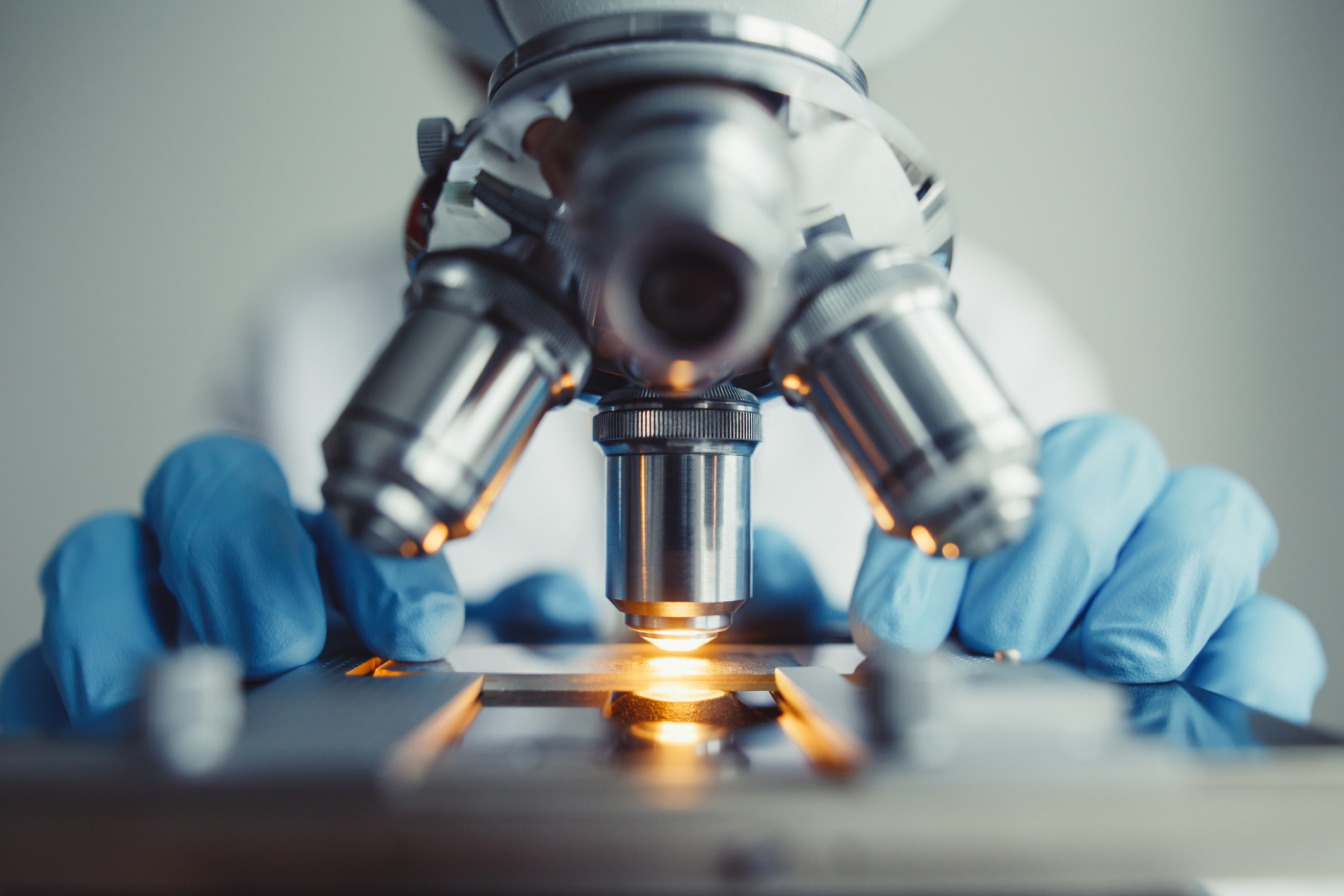 Microscope Examining Slide